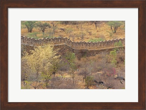 Framed Ancient wall around old fort above Udaipur, India Print