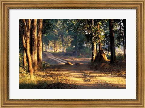 Framed Rural Road, Kanha National Park, India Print