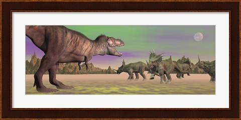 Framed Tyrannosaurus attacking Styracosaurus dinosaurs Print