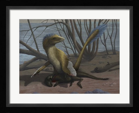 Framed Deinonychus protects its kill, a psittacosaurid dinosaur Print