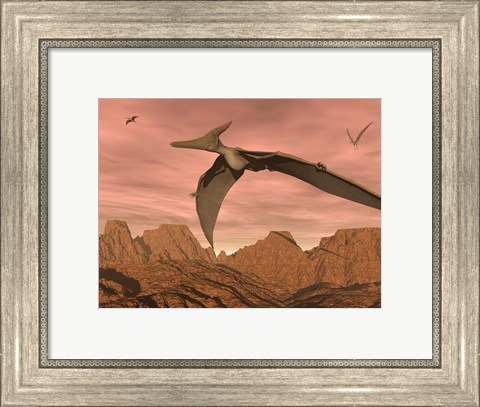 Framed Three pteranodon dinosaurs flying above rocky landscape Print