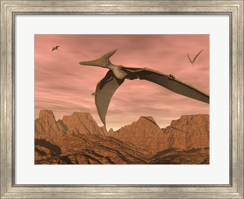 Framed Three pteranodon dinosaurs flying above rocky landscape Print