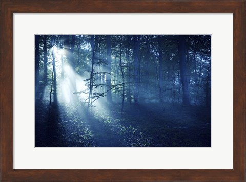 Framed Beam of light in a dark forest, Liselund Slotspark, Denmark Print