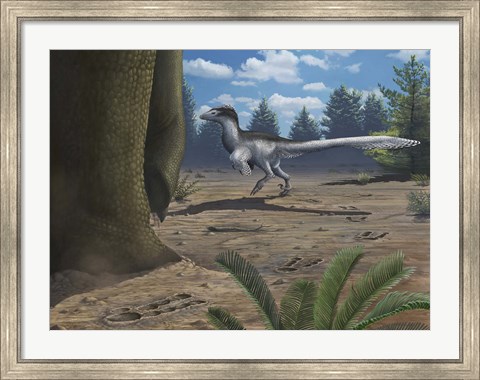 Framed deinonychosaur leaves tracks across a Cretaceous China landscape Print