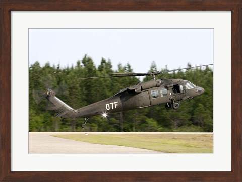 Framed US Army UH-60L Blackhawk helicopter landing at Florida Airport Print