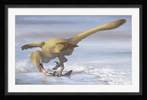 Framed Deinonychus antirrhopus preys on a fish Print