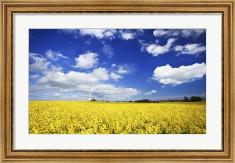 Framed Wind turbine in a canola field against cloudy sky, Denmark Print