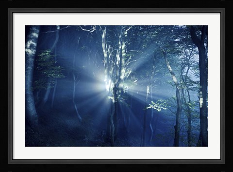 Framed Misty rays in a dark forest, Liselund Slotspark, Denmark Print