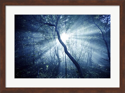 Framed Sun rays in a dark forest, Liselund Slotspark, Denmark Print