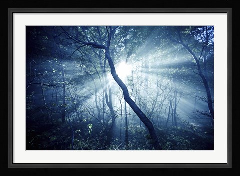 Framed Sun rays in a dark forest, Liselund Slotspark, Denmark Print
