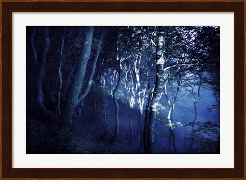 Framed Dark forest, Liselund Slotspark, Denmark Print