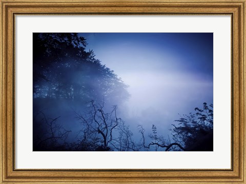 Framed Silhouettes of trees and branches in a dark, misty forest, Denmark Print