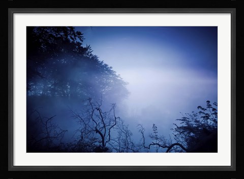 Framed Silhouettes of trees and branches in a dark, misty forest, Denmark Print