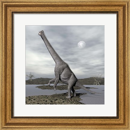 Framed Brachiosaurus dinosaur backdropped by a full moon Print