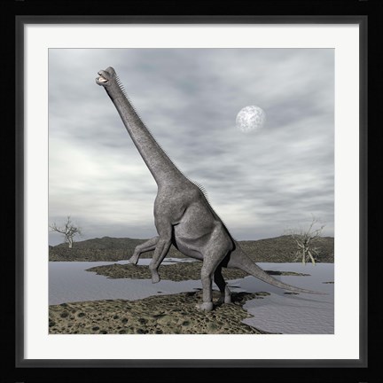 Framed Brachiosaurus dinosaur backdropped by a full moon Print