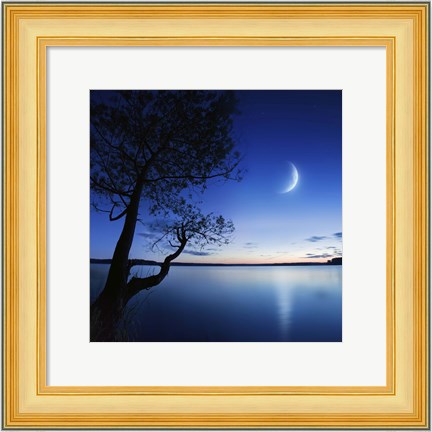Framed Silhouette of a lonely tree in a lake against a starry sky and moon Print