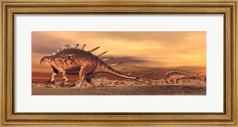 Framed Kentrosaurus mother and baby walking in the desert by sunset Print