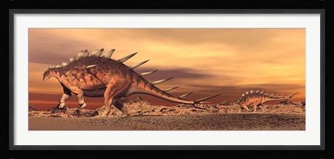 Framed Kentrosaurus mother and baby walking in the desert by sunset Print