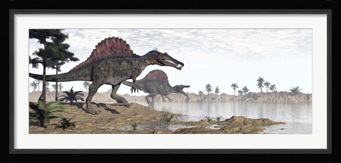 Framed Two Spinosaurus dinosaurs walking to the water in a desert landscape Print