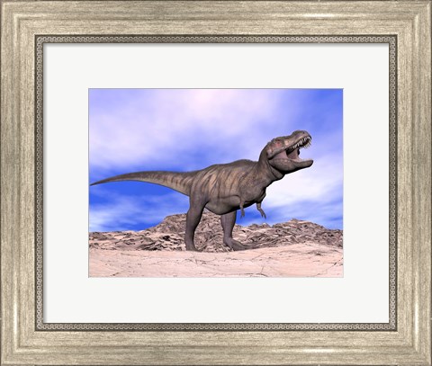 Framed Aggressive Tyrannosaurus Rex dinosaur in the desert Print