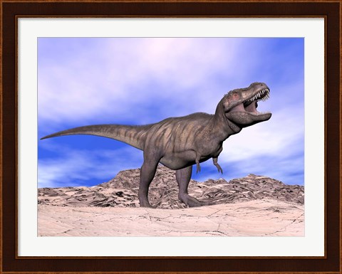 Framed Aggressive Tyrannosaurus Rex dinosaur in the desert Print