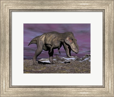 Framed Aggressive Tyrannosaurus Rex dinosaur walking in the desert Print