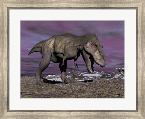 Framed Aggressive Tyrannosaurus Rex dinosaur walking in the desert Print