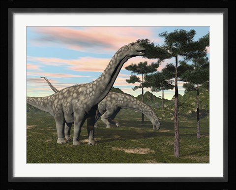 Framed Argentinosaurus dinosaur grazing on treetops Print