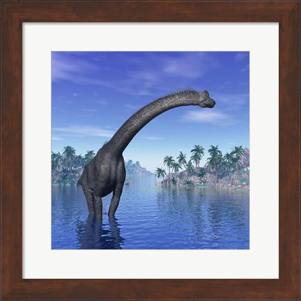 Framed Brachiosaurus dinosaur in a tropical climate Print