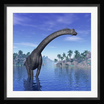 Framed Brachiosaurus dinosaur in a tropical climate Print