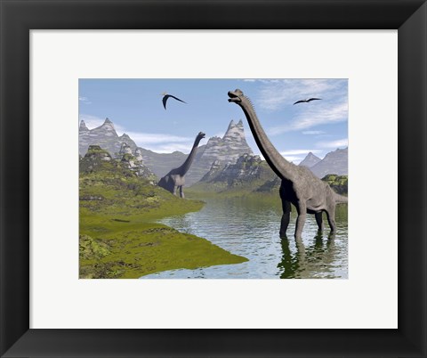 Framed Brachiosaurus dinosaurs walking in a stream on a beautiful day Print