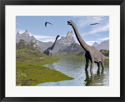 Framed Brachiosaurus dinosaurs walking in a stream on a beautiful day Print