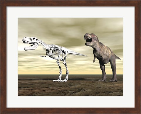 Framed Comparison of Tyrannosaurus Rex standing next to its fossil skeleton Print