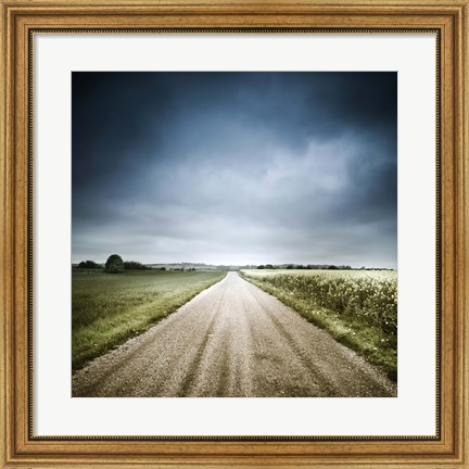 Framed Country road through fields, Denmark Print