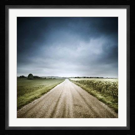 Framed Country road through fields, Denmark Print
