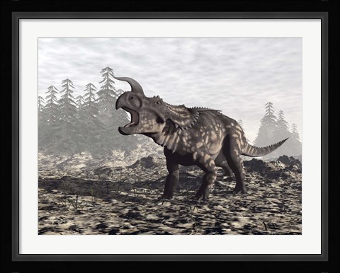 Framed Einiosaurus dinosaur roaring in nature Print