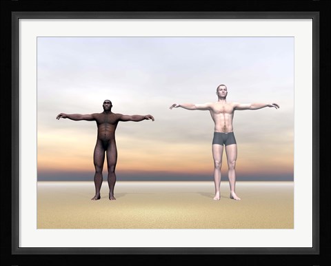 Framed Homo Erectus man next to modern human being Print