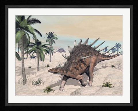 Framed Kentrosaurus dinosaurs walking in the desert among palm trees Print