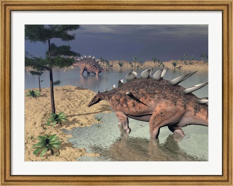 Framed Kentrosaurus dinosaurs walking in the water next to sand and trees Print