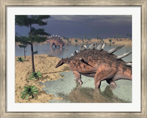 Framed Kentrosaurus dinosaurs walking in the water next to sand and trees Print