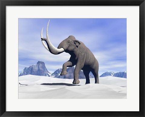 Framed Large mammoth walking slowly on the snowy mountain Print