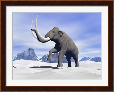 Framed Large mammoth walking slowly on the snowy mountain Print