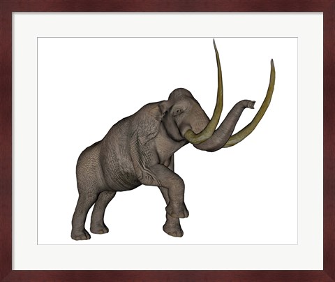 Framed Large mammoth, white background Print