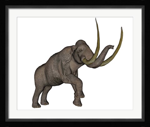 Framed Large mammoth, white background Print