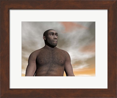 Framed Male Homo Erectus, an extinct species of hominid Print