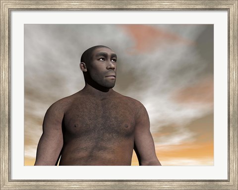 Framed Male Homo Erectus, an extinct species of hominid Print