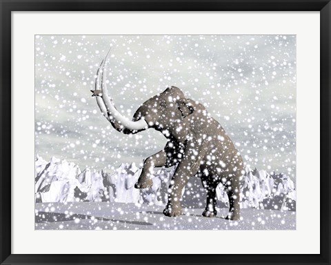 Framed Mammoth walking through a blizzard on mountain Print