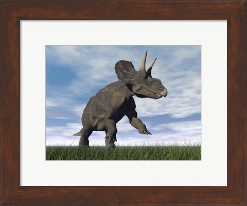 Framed Nedoceratops dinosaur grazing in grassy field Print