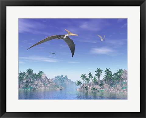 Framed Pteranodon birds flying above islands with palm trees Print