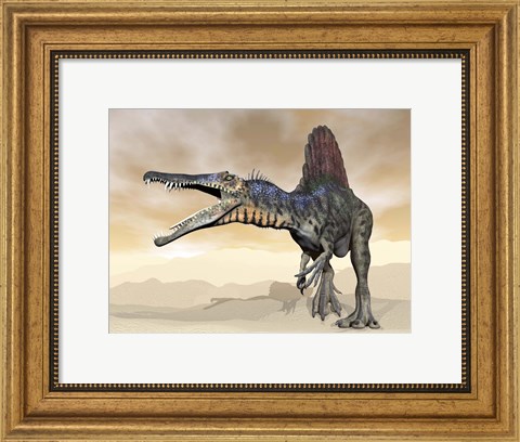 Framed Spinosaurus dinosaur roaring in the desert Print